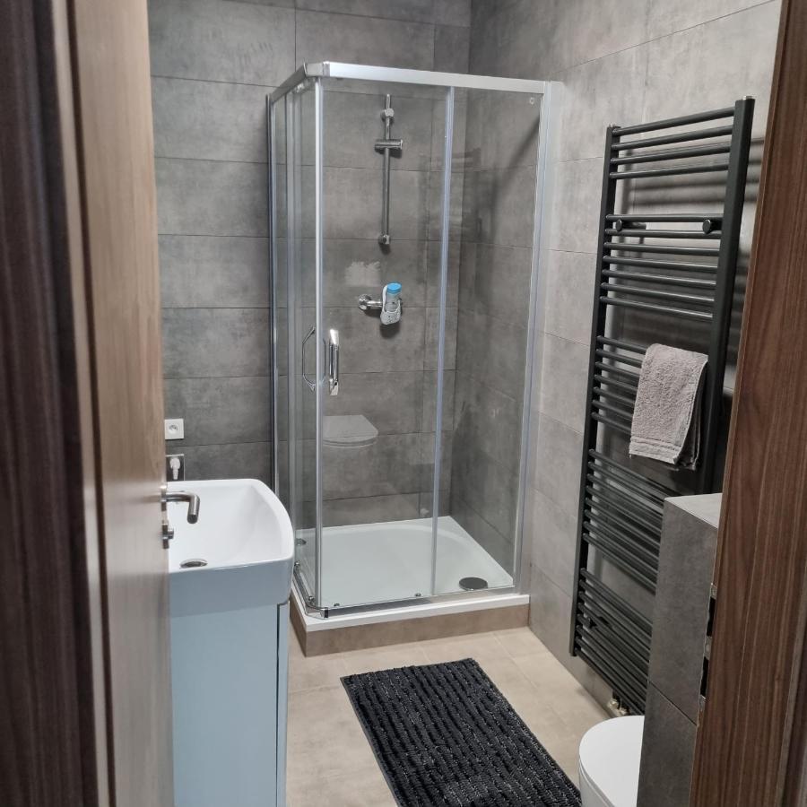 Cerna Ruze- Apartman 5 Plzeň Exterior foto