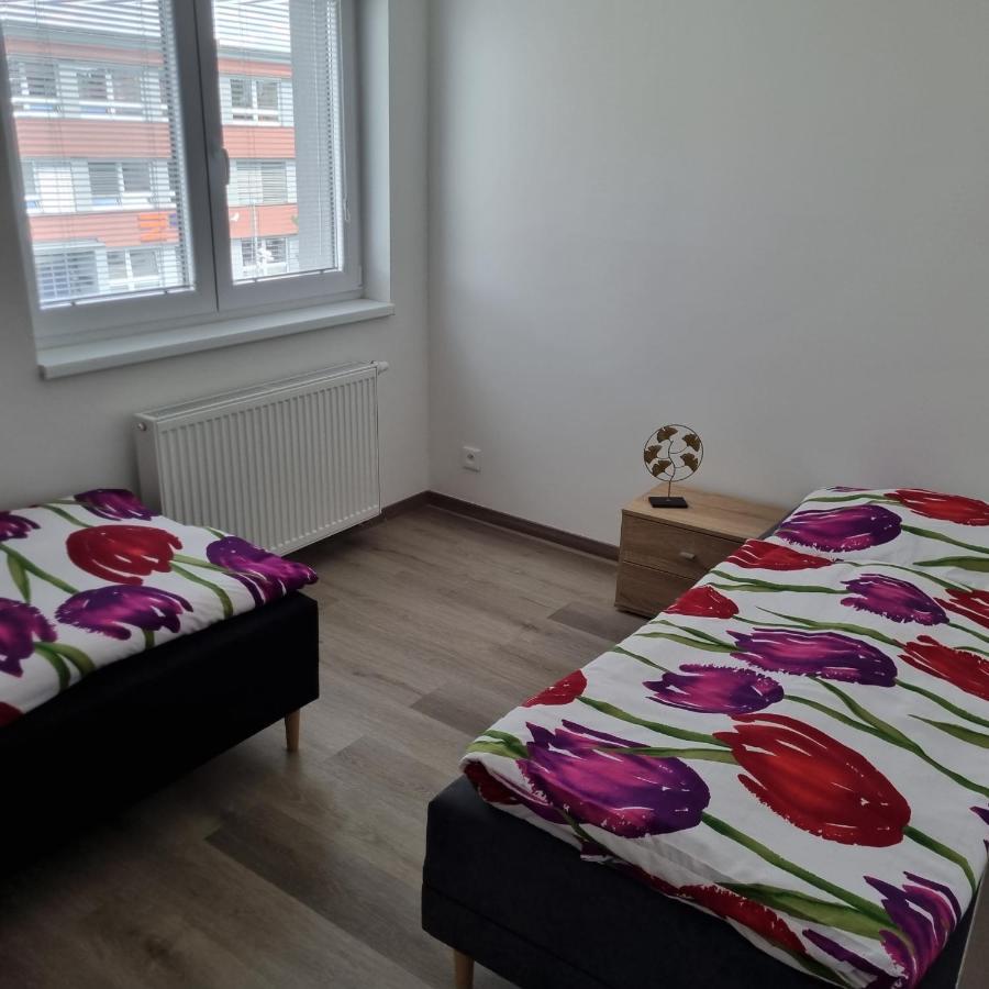 Cerna Ruze- Apartman 5 Plzeň Exterior foto