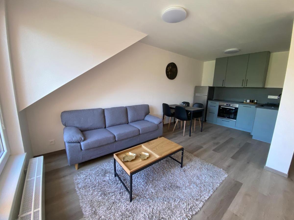 Cerna Ruze- Apartman 5 Plzeň Exterior foto
