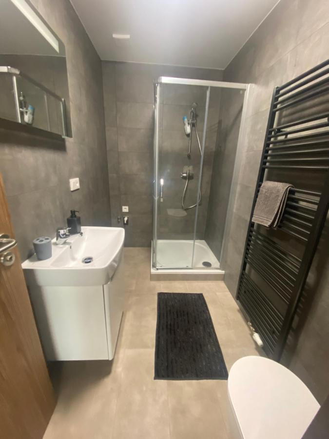 Cerna Ruze- Apartman 5 Plzeň Exterior foto