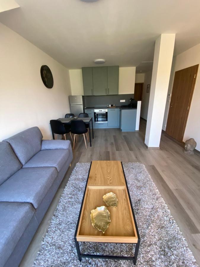Cerna Ruze- Apartman 5 Plzeň Exterior foto