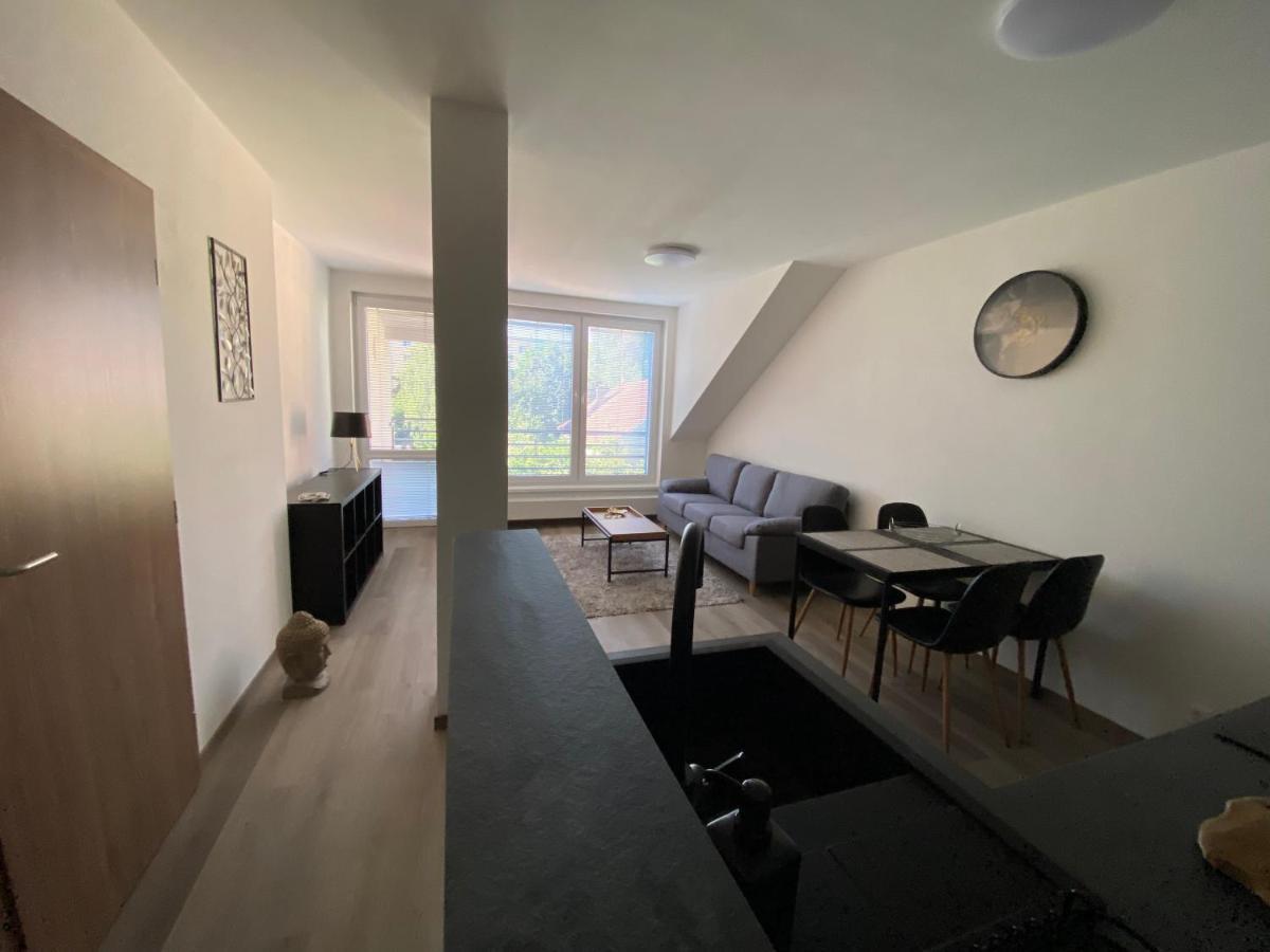 Cerna Ruze- Apartman 5 Plzeň Exterior foto
